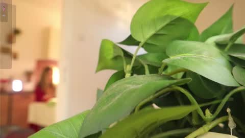 Snapshot of xxxoka chatting on 03.06.25 Xxxoka online show from 03.06.25