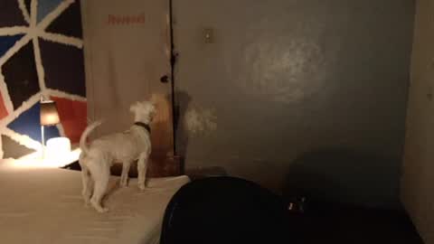 Melissa online show from 02.04.25