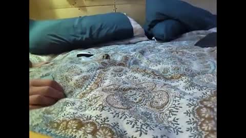 Xzbib online show from 03.10.25