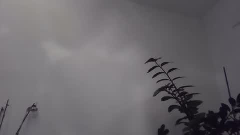 yakijoe online show from 11.06.25