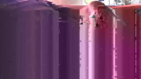 yangolox3 online show from 10.04.25