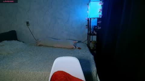 Anny online show from 04.28.26
