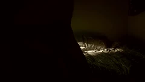 yaradeeyarama online show from 02.08.26