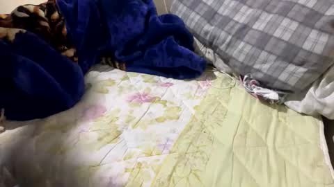 Snapshot of yasarsimo99154258 chatting on 02.23.26 yasarsimo99154258 online show from 02.23.26