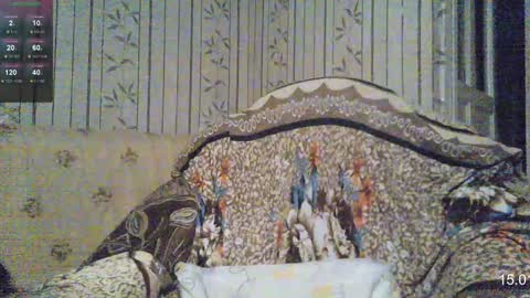 Sven online show from 01.15.25