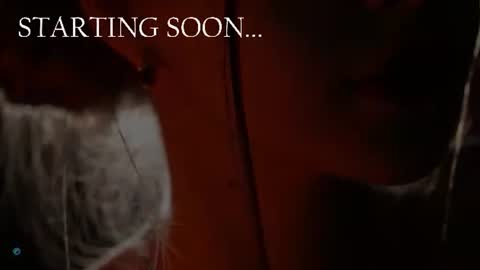 Kate online show from 06.29.26