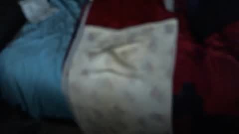 .     y e l l o w s n a k e s       . online show from 11.03.25