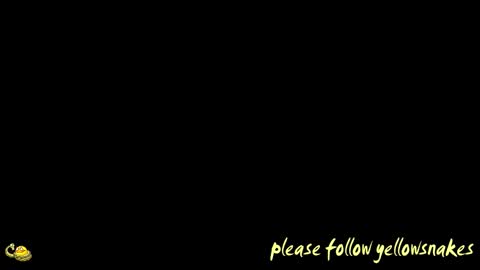 .     y e l l o w s n a k e s       . online show from 01.07.26