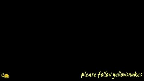 .     y e l l o w s n a k e s       . online show from 04.13.26