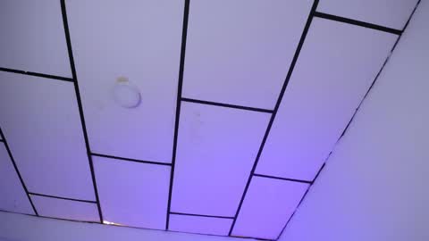 YEM online show from 01.08.25