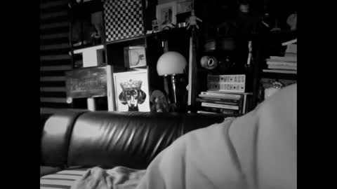 Snapshot of yessex247 chatting on 02.19.26 yessex247 online show from 02.19.26