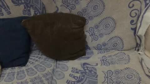 Snapshot of yosoyplex91 chatting on 01.11.26 AlexBlack online show from 01.11.26