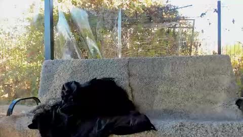 private on 18 per minute start private 500 tokensOnlyfans  online show from 10.29.25