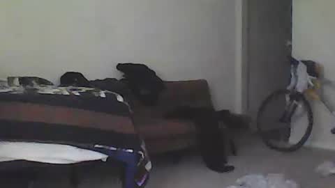 Snapshot of youneverknowimight2 chatting on 02.15.25 kindahorny online show from 02.15.25