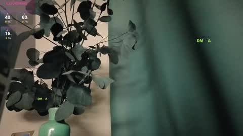 Snapshot of your_dream_alice chatting on 02.25.25 Alice online show from 02.25.25