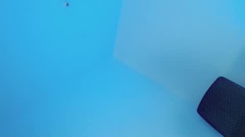 PEARL online show from 01.11.25