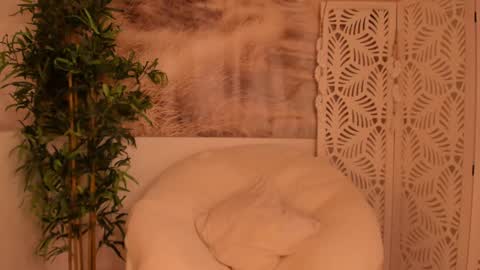 Snapshot of yourmidnightcoffee chatting on 01.28.25 Sarah online show from 01.28.25