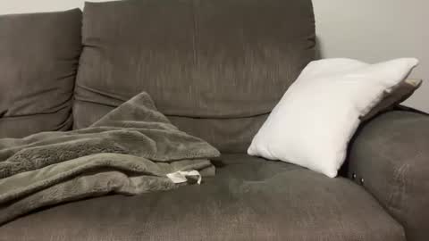 Your Next Guy online show from 11.09.25