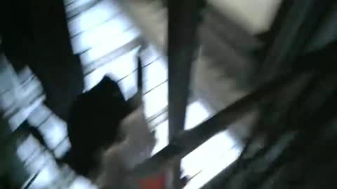 Snapshot of yourpersonalgeniusl chatting on 12.15.24 yourpersonalgeniusl online show from 12.15.24