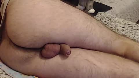 Snapshot of yowlo chatting on 09.22.25 Yowlo online show from 09.22.25