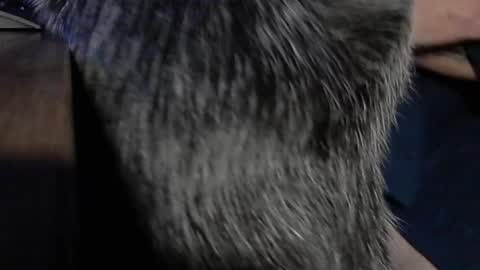 Snapshot of yumguy69 chatting on 09.17.25 YumGuy69 online show from 09.17.25