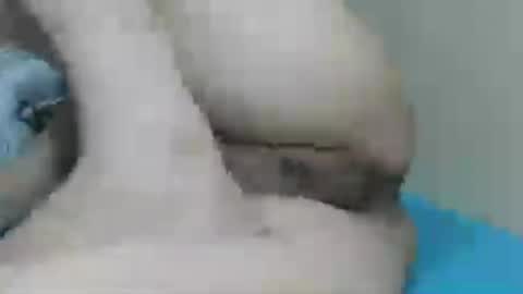 yummy72747 online show from 07.14.26