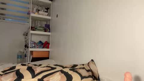 Snapshot of yuri_kai chatting on 11.23.25 yuri online show from 11.23.25