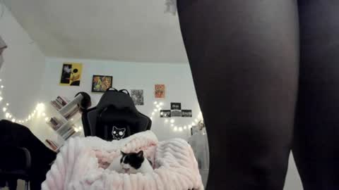 paola online show from 01.18.25