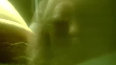 zaboski4 online show from 02.25.26