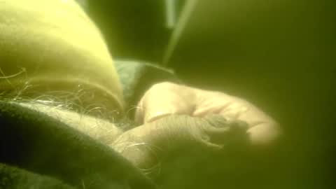 zaboski4 online show from 02.26.26