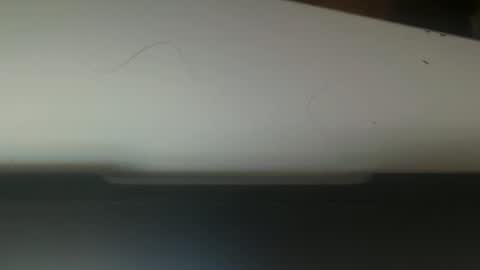 Snapshot of zachbundy chatting on 11.01.25 zachbundy online show from 11.01.25