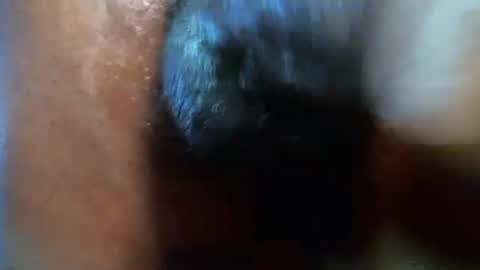 zaddybretty online show from 11.15.25