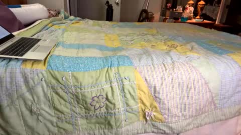 Aiden online show from 01.06.25