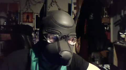 ZanePup online show from 06.29.26