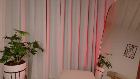 Zara Nova online show from 02.17.26