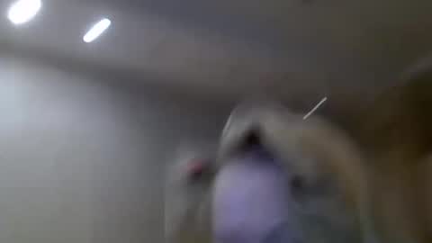 Zarina Swift online show from 02.14.25