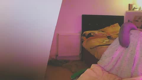 Zed online show from 01.18.25