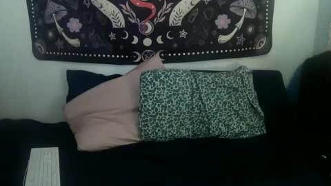 Zelda online show from 01.24.25