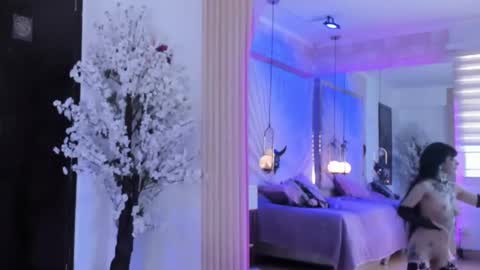    online show from 02.27.25