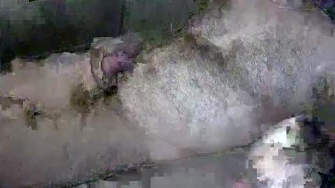 Snapshot of zepincam chatting on 10.13.25 zepincam online show from 10.13.25