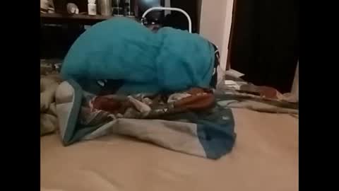 zero online show from 12.14.24