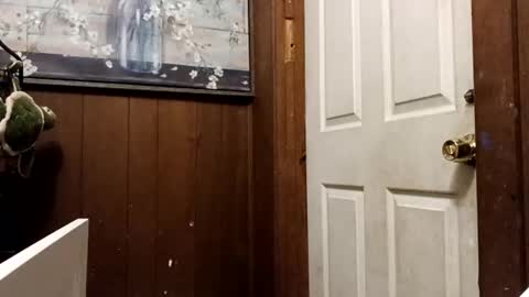 zfdcuvxqqtzh online show from 11.10.25