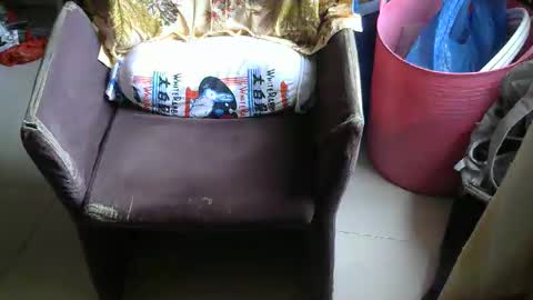 zhengxuansheng888 online show from 04.23.26