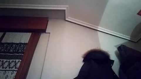 zigor13 online show from 02.04.26