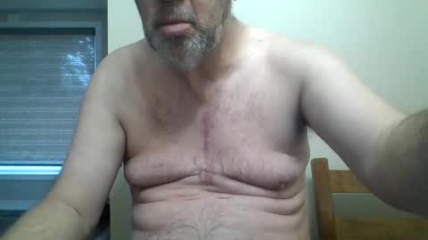 zippy1973 online show from 03.18.26