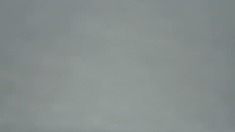 zobilov online show from 05.31.26