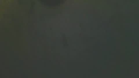 zomma44 online show from 05.27.26