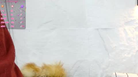 Violeta online show from 12.05.25