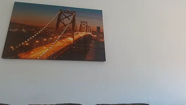 Snapshot of StarZ15 chatting on 02.16.25 StarZ15 online show from 02.16.25