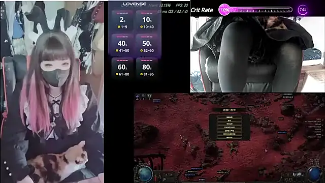 z23002 online show from 01.17.25